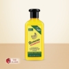 XHC Banana Shampoo 2023
