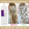Fanola No Yellow Shampoo 3