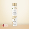 Pantene Complete Curl Care Shampoo With Jojoba Oil