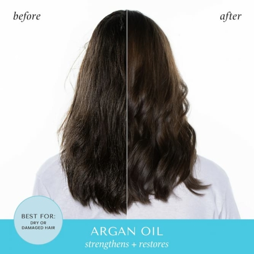 Hask Argan Oil Repairing Shampoo For Dry Damaged Hair, 355 ml