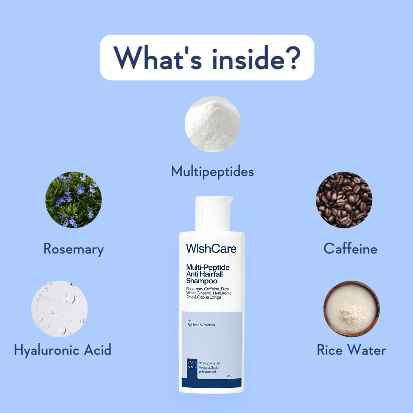 WishCare Multi Peptide Anti Hairfall Shampoo, 250 ml 3 WishCare Multi Peptide Anti Hairfall Shampoo, 250 ml - Image 3