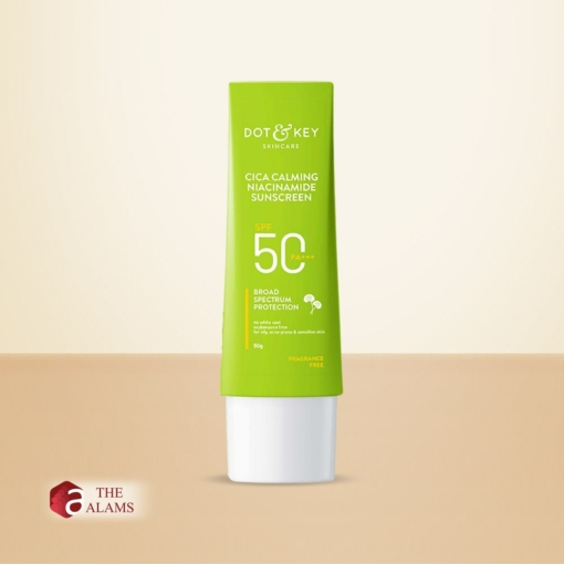 Dot Key Cica Niacinamide Mattifying Sunscreen SPF 50 PA 50 g