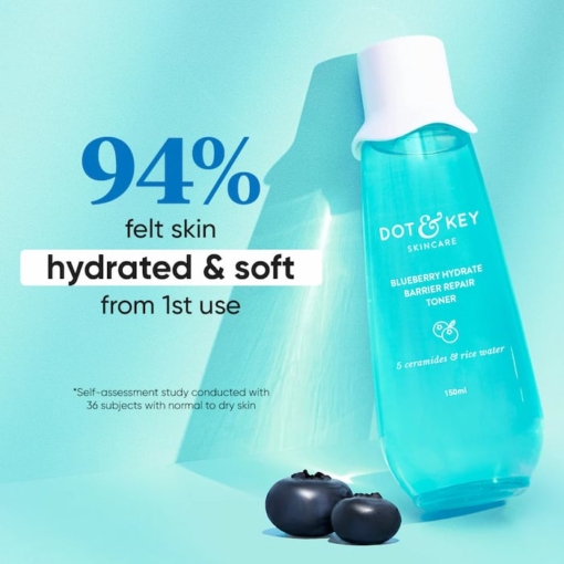 Dot Key Blueberry Hydrate Barrier Repair Toner 2