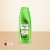 Rejoice 3 In 1 Anti Hairfall Shampoo With Olive Oil