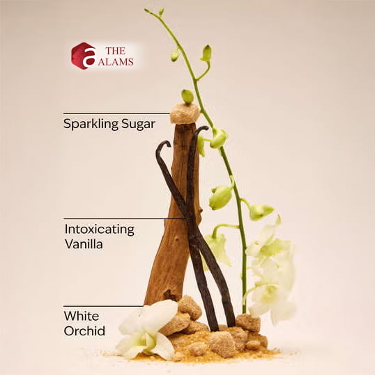 Bath & Body Works Travel Size Fine Fragrance Mist- Warm Vanilla Sugar, 75 ml 2 Bath & Body Works Travel Size Fine Fragrance Mist- Warm Vanilla Sugar, 75 ml - Image 2