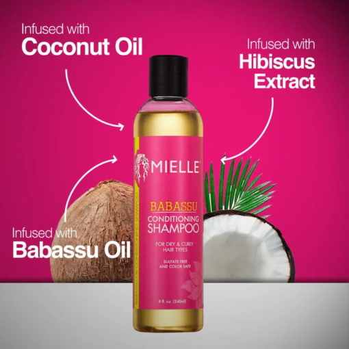 Mielle Babassu Conditioning Shampoo For Dry Curly Hair, 240 ml - Image 2