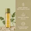 Im From Mugwort Essence 800x800 001