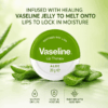 Vaseline Lip Therapy Tin Aloe, 20 g 3 Vaseline Lip Therapy Tin Aloe 800x800 001 1